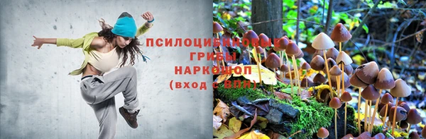 прущая мука Верхний Тагил