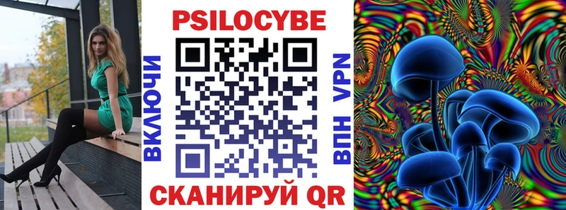 Купить  Пудож  Псилоцибиновые грибы GOLDEN TEACHER 