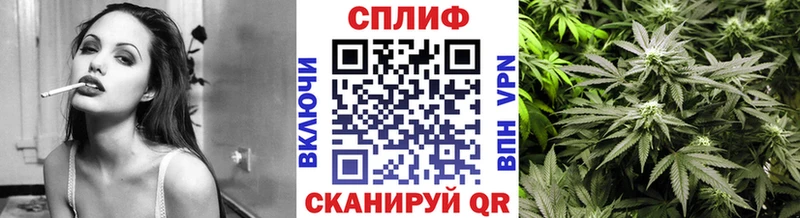 Купить закладки  Пудож  Бошки Шишки Ganja 